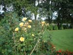 Garden_2001_003