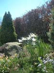 Garden_2001_004